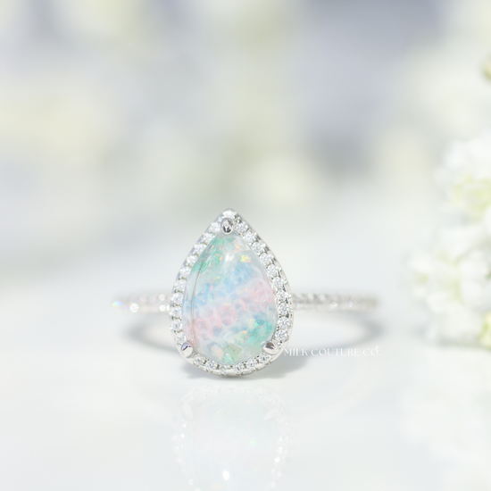 The Nova Ring